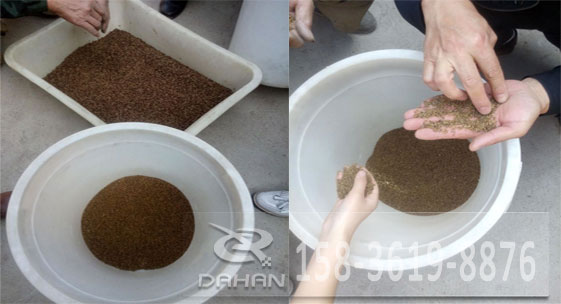 黑苦蕎茶 黑苦蕎茶振動篩分機試機效果對比